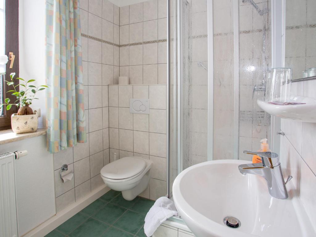 Landhotel Zum Hammer Tannenberg Rom bilde